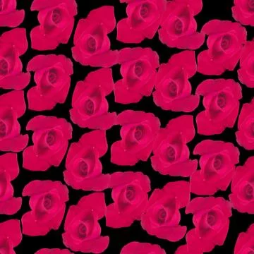 Vector red Rose seamless background Stock-Illustration