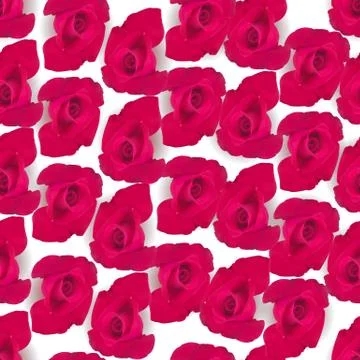 Vector red Rose seamless background Stock Illustration
