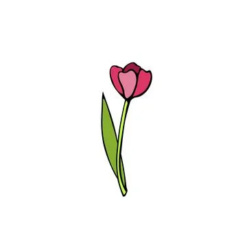 Vector red tulip flower isolated on white background. Hand drawn simple color 스톡 일러스트