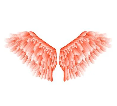 Vector red wings with feathers isolated on white background. Stock Illustration