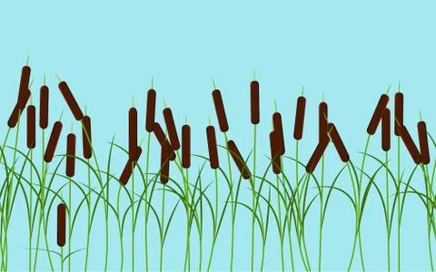 Vector reed stems plant seamless pattern on blue 스톡 일러스트
