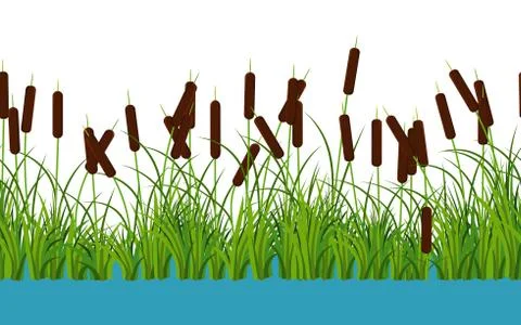 Vector reed stems plants with leaves and grass on the river Seamless pattern Stock Illustration