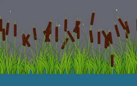 Vector reed stems plants with leaves and grass on the river and lake water 스톡 일러스트