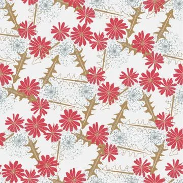 Vector repeat seamless pattern with red chicory flowers. Illustrazione stock