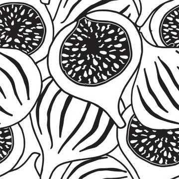 Vector repeat seamless pattern with sweet figs. Black and white colors. Stock Illustration