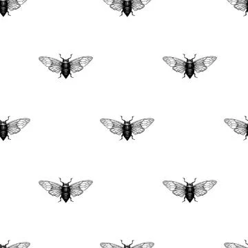 Vector retro hand drawn seamless vector pattern with beetle, bug, dor, dorr Illustrazione stock