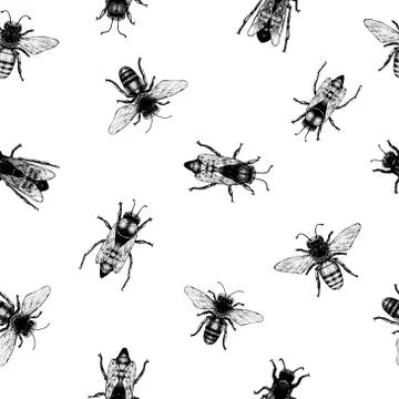 Vector retro hand drawn seamless pattern with crawling bees. Vintage style. I Stock Illustration