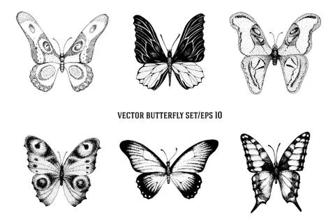 Vector retro hand drawn vector set of beautiful butterflies on a white Stock Illustration
