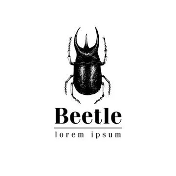 Vector retro hand drawn vector logo template with beetle, bug, dor, dorr, insect Stock Illustration