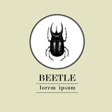 Vector retro hand drawn vector logo template with beetlle insect on a white Stock Illustration