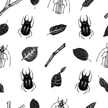 Vector retro hand drawn vector seamless pattern with beetlles, insects and Stock Illustration