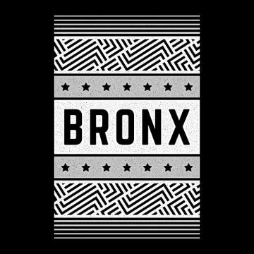Vector retro illustration on the theme of Bronx. Urban. Modern. Stylized vintage Stock Illustration