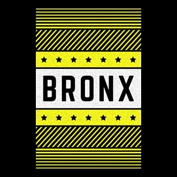 Vector retro illustration on the theme of Bronx. Urban. Modern. Stylized vintage Stock Illustration