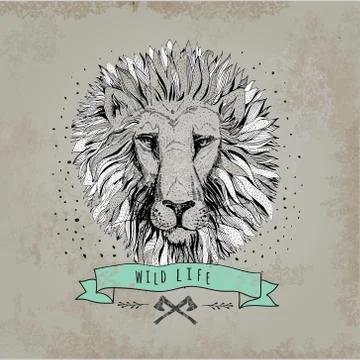 Vector retro lion head design illustration, vintage  logo. Vinta Stock Illustration