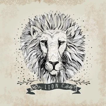 Vector retro lion head design illustration, vintage  logo. Vinta Stock Illustration