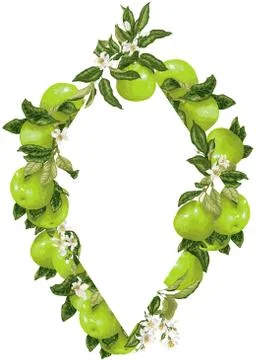 Vector rhombus frame decoration with citrus grapefruit and pomelo branches Stock Illustration