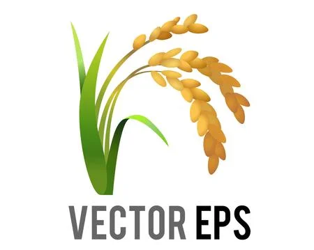 Vector rice plant icon, represent wheat, corn, oats, sorghum, crops, field, Illustrazione stock