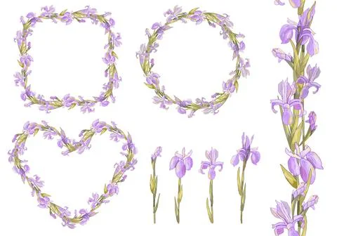 Vector romantic set with irises. Colorful illustration - frames, hearts, seam Illustrazione stock