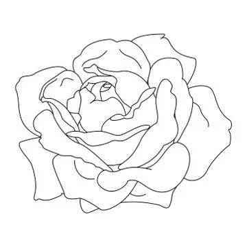 Vector rose flower clip art Stock Illustration