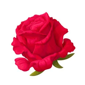 Vector rose flower clip art Stock Illustration