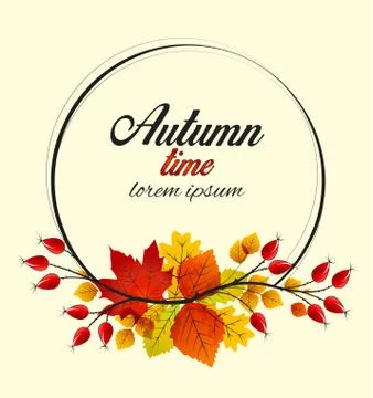 Vector rose hip Stock Illustration