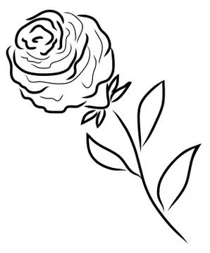 Vector rose silhouette Illustrazione stock