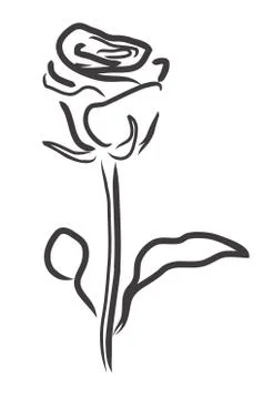 Vector rose silhouette Illustrazione stock