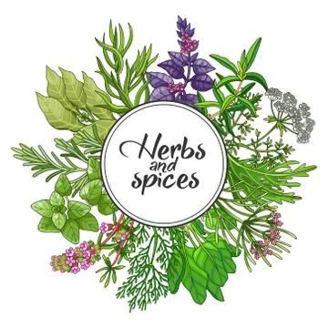 Vector round design with type, spices and herbs 스톡 일러스트