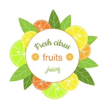Vector round frame with citrus. Banner with stylized citrus fruits and leaves Stock Illustration