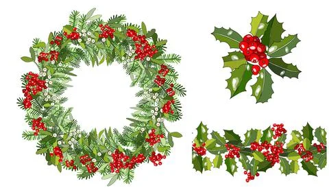 Vector round wreath with mistletoe, spruce branches, Holly isolated on white. Stock Illustration