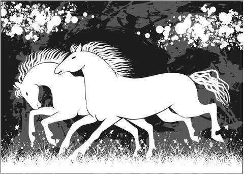 Vector running black and white horses Stock Illustration