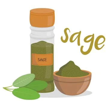 Vector sage illustration isolated in cartoon style. Herbs and Species Series Stock Illustration
