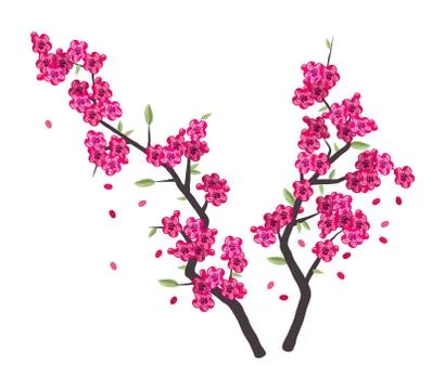 Vector sakura branches with pink blossom Stock Illustration