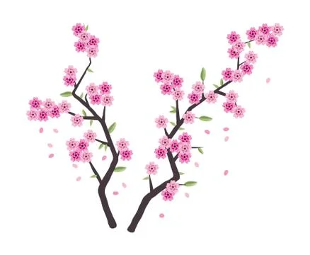 Vector sakura branches with pink blossom Stock Illustration