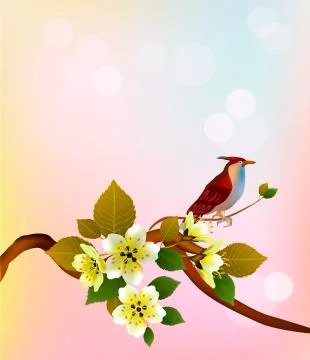 Vector Sakura. Evening in the garden blooming cherry and birds sing Stock Illustration