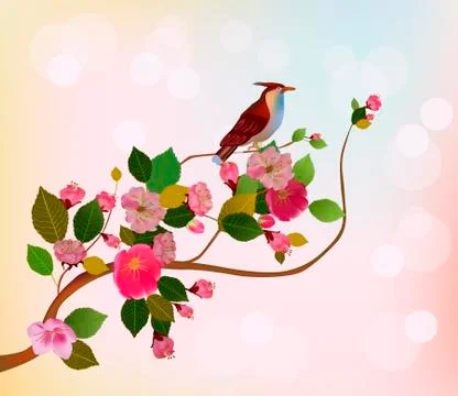 Vector Sakura. Evening in the garden blooming cherry and birds sing Stock Illustration