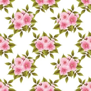 Vector sakura flower seamless pattern background. Elegant cherry blossom text 스톡 일러스트