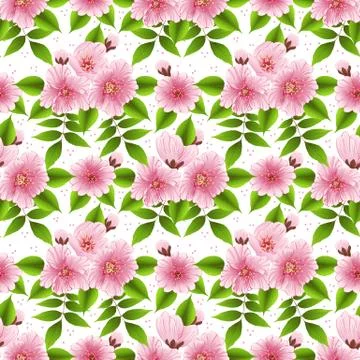 Vector sakura flower seamless pattern background. Elegant cherry blossom text 스톡 일러스트