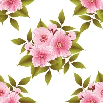 Vector sakura flower seamless pattern element. Elegant cherry blossom texture Stock Illustration