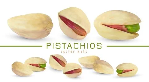 Vector salted pistachio kernel. Realistic green nuts isolated on white Stock Illustration