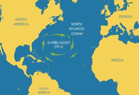 Vector. The Sargasso sea on the world map. Illustration