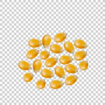 Vector scattered grains of corn on a white background Stock Illustration