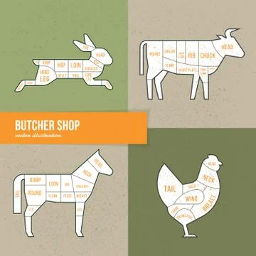 Vector scheme cuts beef, rabbit, horse and chicken. Stock Illustration