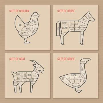 The vector scheme cuts chicken, horse, goat and goose. Stock Illustration