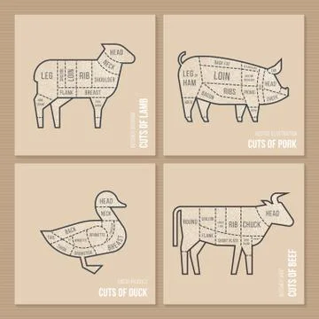 The vector scheme cuts sheep, pork, duck and beef. Stock Illustration