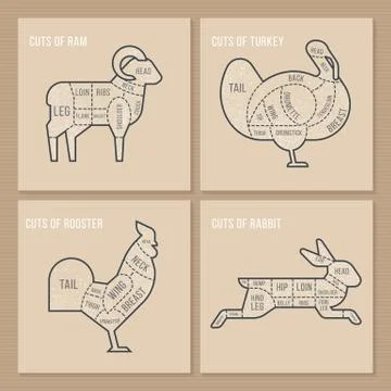 The vector scheme cuts sheep, turkey, cock and rabbit. Stock Illustration