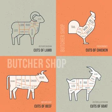 Vector scheme of cutting farm animals depicted in illustrations. Stock Illustration
