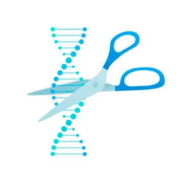 Vector science design elements. DNA spiral symbol and scissors isolated on white Illustrazione stock
