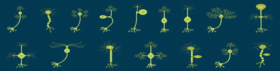 Vector scientific icon neuron structure. Stock Illustration