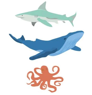 Vector Sea Animals. Stock Illustration